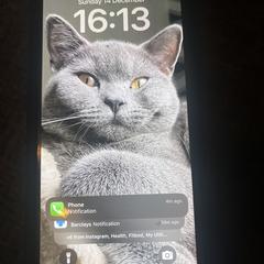 Telefoon, som rapporterats till iLost