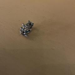 Pendiente, ha sido reportado por Familie Resort Molenwaard con iLost