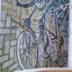 Men’s bike, as reported by Gemeente Roermond using iLost