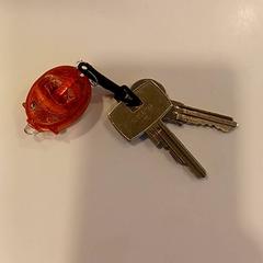 Chaves Met fietslampje, segundo informou RAI Amsterdam usando iLost