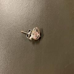 ピアス 【片方のみ】 がiLostで IKEA長久手 によって報告されました