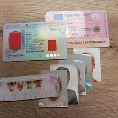 Rijbewijs jacoba koops, gisa salatu by Pouw Vervoer iLost erabiliz