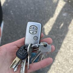 Sleutelbos, som rapportert til iLost