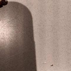 Bracelet, as reported by De Efteling using iLost