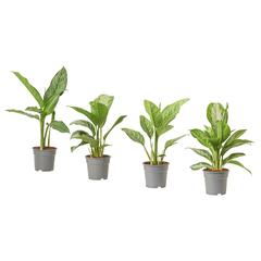 IKEA produkt, rapporterat av IKEA Montpellier med iLost