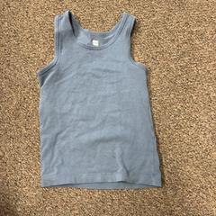 Camicia, come riportato da Burgers' Zoo utilizzando iLost