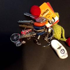 Klíčenka, jak nahlášeno TivoliVredenburg pomocí iLost