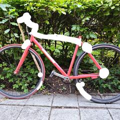 Rode racefiets an iLost gemeldet