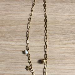 Halsband, rapporterat av Canisius-Wilhelmina Ziekenhuis med iLost