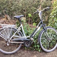 Fiets, ako bolo nahlásené iLost