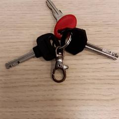 Kulcsok, amint azt Gemeente Diepenbeek az iLost segítségével jelentette.
