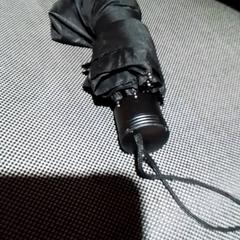 傘 Zwart がiLostで Apenheul によって報告されました