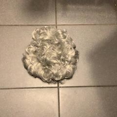 Pruik, som rapportert av Café Leentje ved bruk av iLost