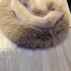 Bontmuts, gemeldet von EBS Tramplein über iLost