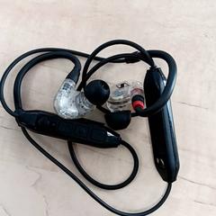 Oortjes, zgłoszono przez Arriva Vechtdallijnen przy użyciu iLost