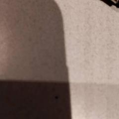 Wallet portomonee, as reported by De Efteling using iLost