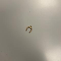 Halskette Brons, gemeldet von Vrije Universiteit Amsterdam über iLost