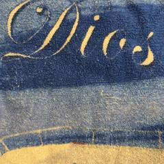 Toalla de playa Blauw, ha sido reportado por Familie Resort Molenwaard con iLost