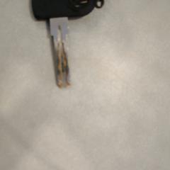 Sleutel, rapporterat av Walibi Holland med iLost