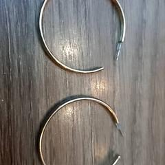 Earings, ako bolo nahlásené Leonardo Royal Hotel Amsterdam pomocou iLost