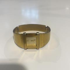 Rellotge, segons ha informat Gemeente Hardenberg mitjançant iLost