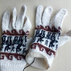 Roupa - Handschoenen, segundo informou Regio Oost-Vlaanderen usando iLost