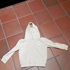 Hoodie, zoals gemeld door Apenheul met iLost