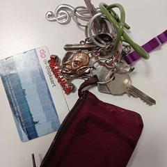 Portachiavi Sleutelbos met OV kaart, come riportato da HU Amersfoort utilizzando iLost