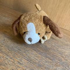 Knuffel, amint azt Van der Valk Hotel Kasteel TerWorm az iLost segítségével jelentette.