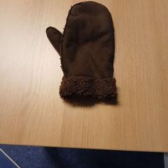 Handschuh bruin, gemeldet von UVO Vervoer über iLost