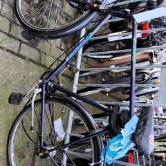 Bicicleta de hombre Gazelle, ha sido reportado por Stadswerk072 con iLost