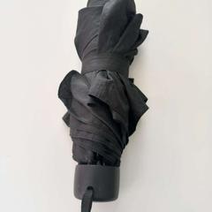 Umbrella Zwart, as reported by Arriva Limburg Zuid using iLost