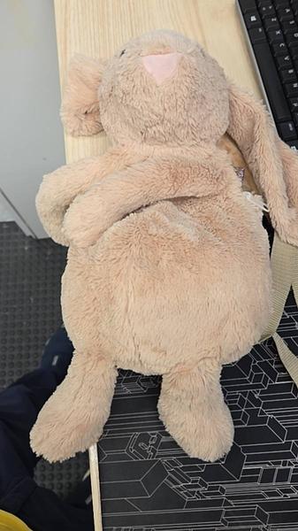 Toy, Backpack & Bamse