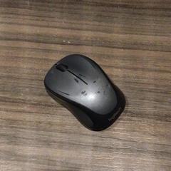 Maus, gemeldet von Van der Valk Hotel Zwolle über iLost