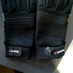 Handskar Zwart, rapporterat av Burgers' Zoo med iLost