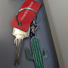 Sleutel met cactus 🌵, iLost에 보고됨