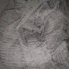 Šátek, jak nahlášeno TivoliVredenburg pomocí iLost