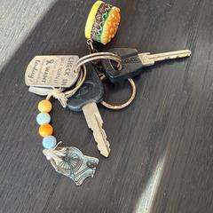 Sleutel, iLost'a bildirildiği gibi