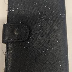 Portafoglio Van Hoogenhuizen, come riportato da Supersized Kingsday 2025 utilizzando iLost