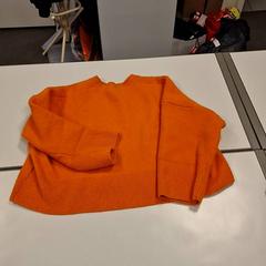 Sweter, zgłoszono przez Vrije Universiteit Amsterdam przy użyciu iLost