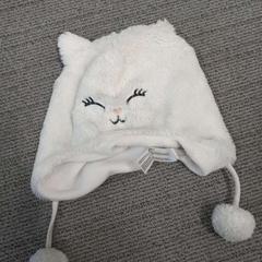 Beanie, amint azt Arriva West-Brabant az iLost segítségével jelentette.