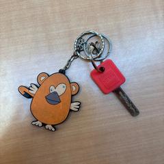 Schlüssel, gemeldet von Gemeente Zutphen über iLost