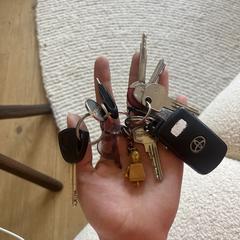 Sleutelbos, iLost-i jakinarazi zaion moduan