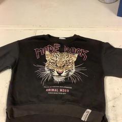 Clothing, as reported by Artis using iLost