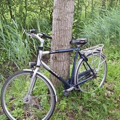 Kolo Giant, jak nahlášeno Fietsdepot Meierijstad pomocí iLost