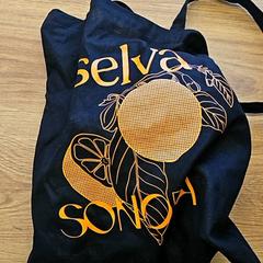 İLost kullanarak GVB tarafından bildirildiği gibi Kussen