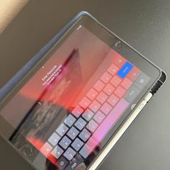 iPad, as reported to iLost