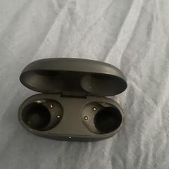 Oordopjes Earbuds Case Sony がiLostに報告されました