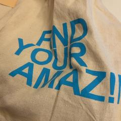 Taška, jak nahlášeno GVB pomocí iLost