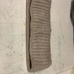 Cache-oreilles, a été signalé par Artis utilisant iLost